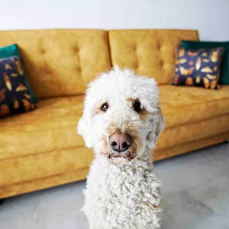 Luxus „goldene Stunde“ 公寓 *