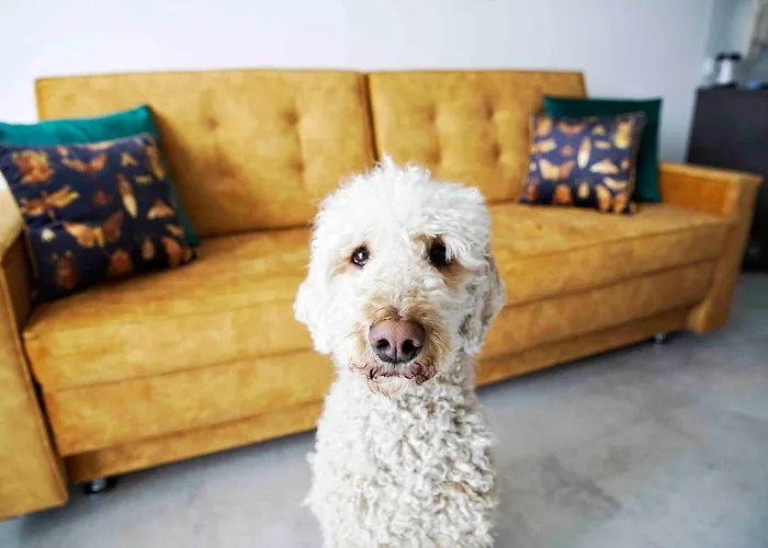 Luxus „goldene Stunde“ Apartman *